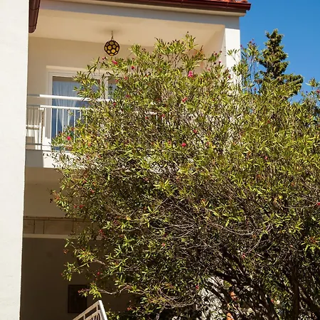 Villa Timic Bol Exterior photo